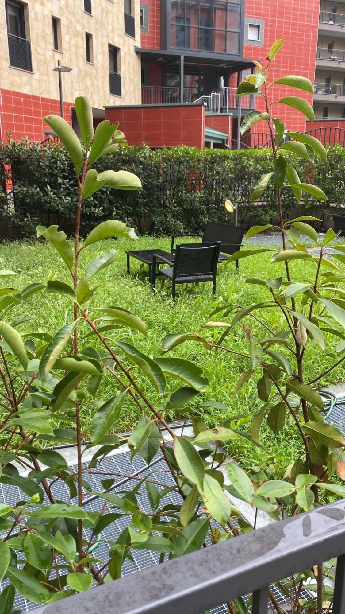 Cos54 - Exclusive Apartment With Garden In มิลาน ภายนอก รูปภาพ